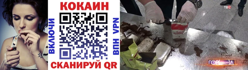 Кокаин Fish Scale  где купить наркотик  Новая Усмань 