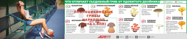 соль ск Пересвет
