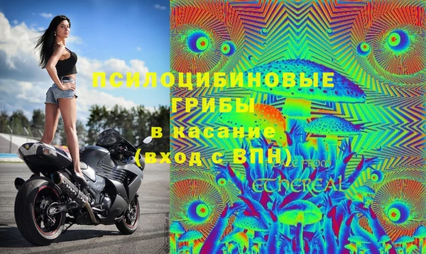соль курить ск Переславль-Залесский
