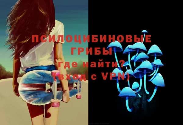 соль курить ск Переславль-Залесский