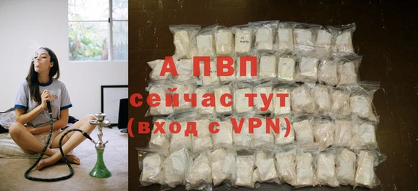 сатива Пестово