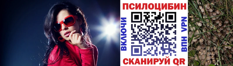 Псилоцибиновые грибы мицелий  магазин продажи   Новая Усмань 