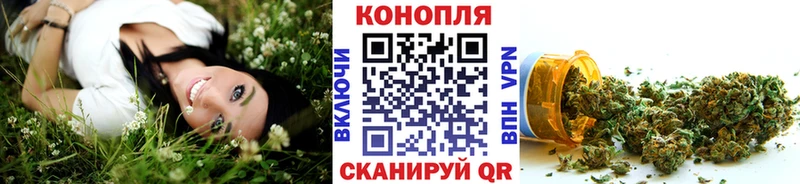 Канабис сатива  как найти   Новая Усмань 